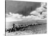 1870s-1880s Montage of Covered Wagons Crossing the American Plains-null-Stretched Canvas