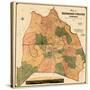 1871, Davidson County and Nashville Wall Map, Tennessee, United States-null-Stretched Canvas