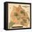 1871, Davidson County and Nashville Wall Map, Tennessee, United States-null-Framed Stretched Canvas