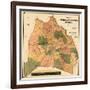 1871, Davidson County and Nashville Wall Map, Tennessee, United States-null-Framed Giclee Print