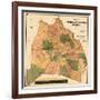 1871, Davidson County and Nashville Wall Map, Tennessee, United States-null-Framed Giclee Print
