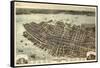 1872, Charleston Bird's Eye View, South Carolina, United States-null-Framed Stretched Canvas