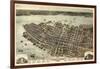 1872, Charleston Bird's Eye View, South Carolina, United States-null-Framed Giclee Print