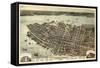 1872, Charleston Bird's Eye View, South Carolina, United States-null-Framed Stretched Canvas