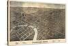 1872, Columbus Bird's Eye View, Ohio, United States-null-Stretched Canvas