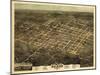 1872, Raleigh Bird's Eye View, North Carolina, United States-null-Mounted Giclee Print