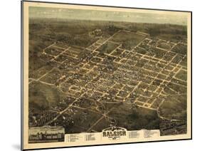 1872, Raleigh Bird's Eye View, North Carolina, United States-null-Mounted Premium Giclee Print