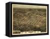 1872, Raleigh Bird's Eye View, North Carolina, United States-null-Framed Stretched Canvas