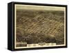 1872, Raleigh Bird's Eye View, North Carolina, United States-null-Framed Stretched Canvas
