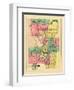 1872, Scranton City, Pennsylvania, United States-null-Framed Giclee Print