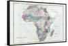 1873, Africa-null-Framed Stretched Canvas