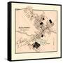 1873, Allentown, New Jersey, United States-null-Framed Stretched Canvas