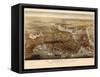 1873, Boston Bird's Eye View, Massachusetts, United States-null-Framed Stretched Canvas