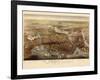 1873, Boston Bird's Eye View, Massachusetts, United States-null-Framed Giclee Print