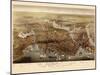 1873, Boston Bird's Eye View, Massachusetts, United States-null-Mounted Giclee Print