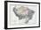 1873, Brazil, Bolivia, Peru, Ecuador-null-Framed Giclee Print