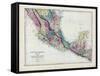 1873, Central America - Mexico, Guatemala, Honduras, San Salvador, Nicaragua-null-Framed Stretched Canvas