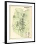 1873, Flemington, New Jersey, United States-null-Framed Giclee Print