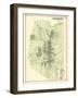 1873, Flemington, New Jersey, United States-null-Framed Giclee Print