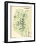 1873, Flemington, New Jersey, United States-null-Framed Giclee Print