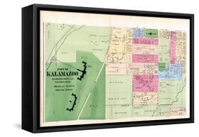 1873, Kalamazoo, Insane Asulum, Michigan, United States-null-Framed Stretched Canvas