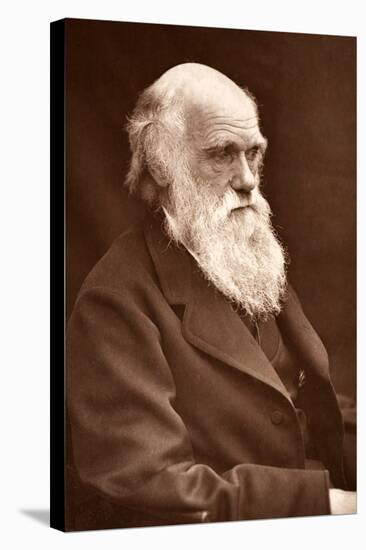 1874 Charles Darwin Picture by Leonard.-Paul Stewart-Stretched Canvas