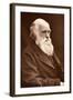 1874 Charles Darwin Picture by Leonard.-Paul Stewart-Framed Premium Photographic Print