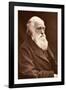 1874 Charles Darwin Picture by Leonard.-Paul Stewart-Framed Photographic Print