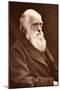 1874 Charles Darwin Picture by Leonard.-Paul Stewart-Mounted Photographic Print