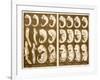 1874 Ernst Haeckel Embryo Drawings-Paul Stewart-Framed Photographic Print