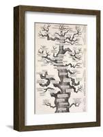 1874 Haeckel First Full 'tree of Life'-Stewart Stewart-Framed Photographic Print