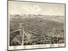 1874, Kalamazoo Bird's Eye View, Michigan, United States-null-Mounted Giclee Print