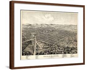 1874, Kalamazoo Bird's Eye View, Michigan, United States-null-Framed Giclee Print