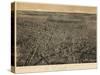 1874, Newark Bird's Eye View, New Jersey, United States-null-Stretched Canvas