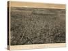 1874, Newark Bird's Eye View, New Jersey, United States-null-Stretched Canvas