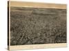 1874, Newark Bird's Eye View, New Jersey, United States-null-Stretched Canvas