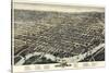 1874, Wilmington Bird's Eye View, Delaware, United States-null-Stretched Canvas