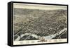 1874, Wilmington Bird's Eye View, Delaware, United States-null-Framed Stretched Canvas