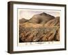 1875, Virginia City Bird's Eye View, Nevada, United States-null-Framed Giclee Print