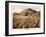 1875, Virginia City Bird's Eye View, Nevada, United States-null-Framed Giclee Print