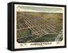 1876, Circleville Bird's Eye View Ohio, United States-null-Framed Stretched Canvas