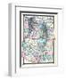 1876, County Map of Colorado, Utah, New Mexico and Arizona, United States-null-Framed Giclee Print