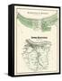 1876, Maysville - Outline Plan, Upper Maysville, Kentucky, United States-null-Framed Stretched Canvas