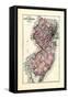 1876, New Jersey State Map, New Jersey, United States-null-Framed Stretched Canvas