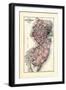 1876, New Jersey State Map, New Jersey, United States-null-Framed Giclee Print