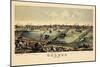 1876, Toledo Bird's Eye View, Ohio, United States-null-Mounted Giclee Print