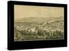 1877, Bethlehem Bird's Eye View, Pennsylvania, United States-null-Stretched Canvas