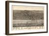 1877, Cleveland Bird's Eye View, Ohio, United States-null-Framed Giclee Print