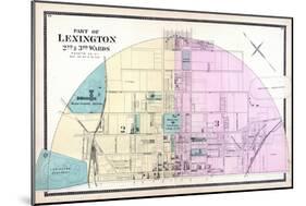 1877, Lexington - Wards 2 and 3, Kentucky, United States-null-Mounted Giclee Print