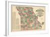 1877, State Map, Missouri, United States-null-Framed Giclee Print